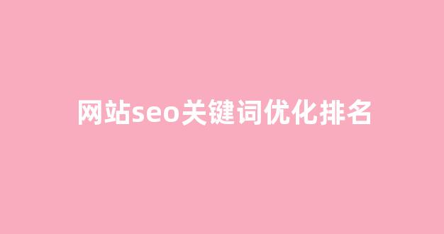 seo网站优化软件
