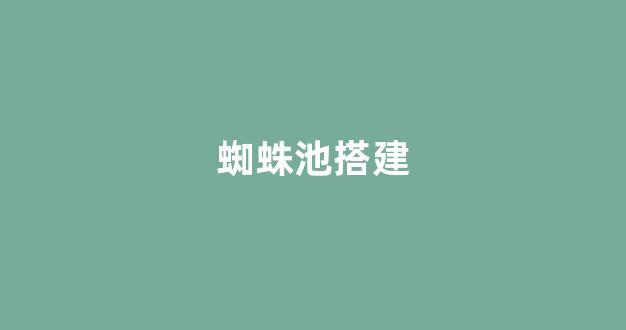 百度seo优化